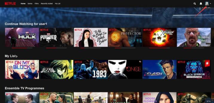 netflix account